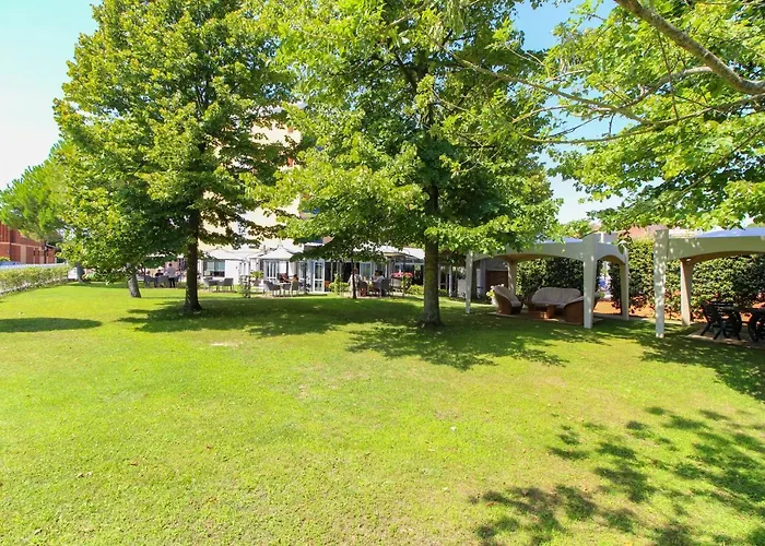 酒店 大景湾酒店 4*